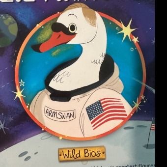 Avatar for jasonswann12